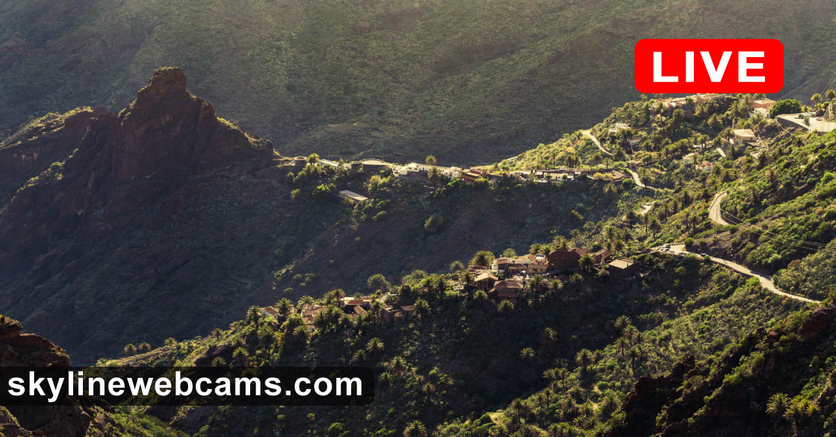 www.skylinewebcams.com