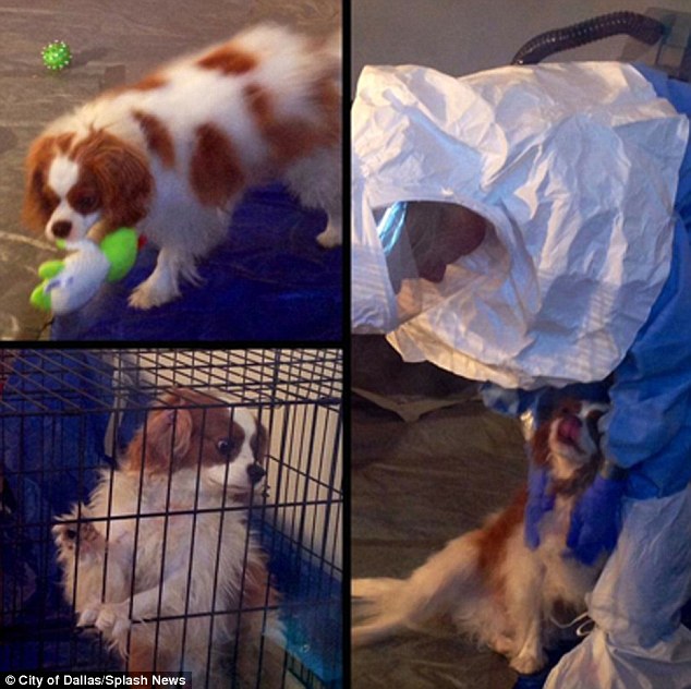 1413495124603_wps_9_Ebola_patient_Nina_Pham_s.jpg