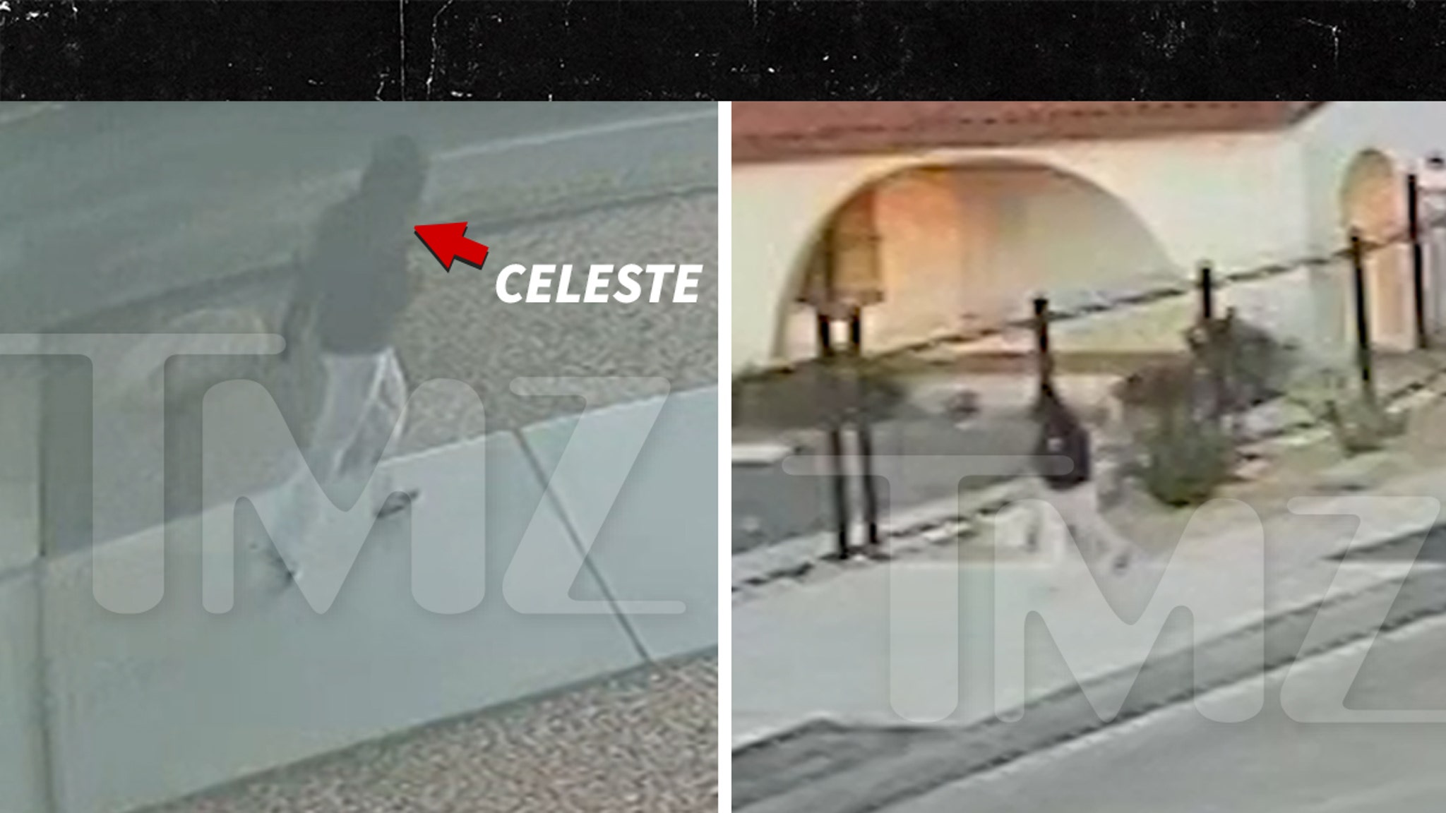 www.tmz.com
