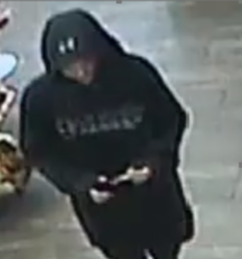 alachuachronicle.com