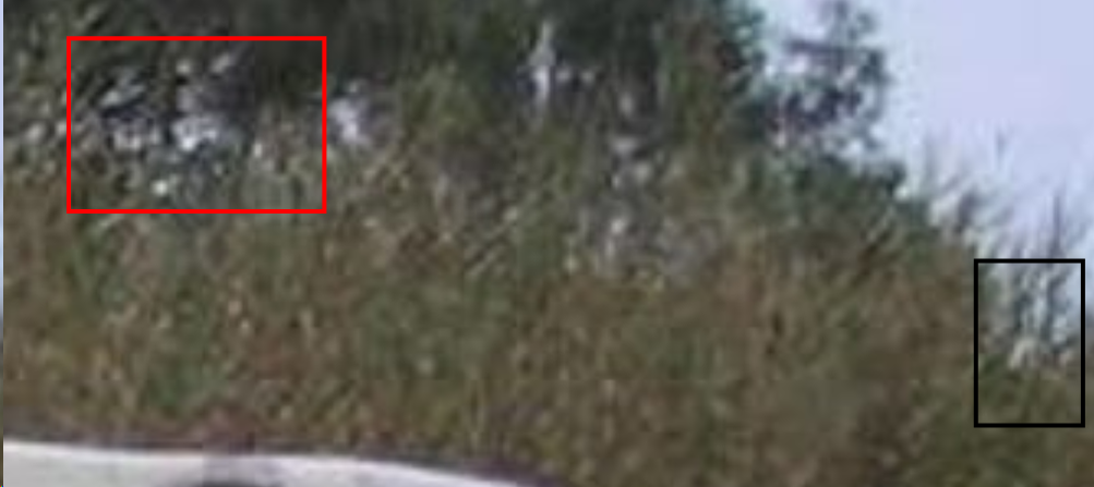 upload_2020-7-27_12-14-7-png.257143