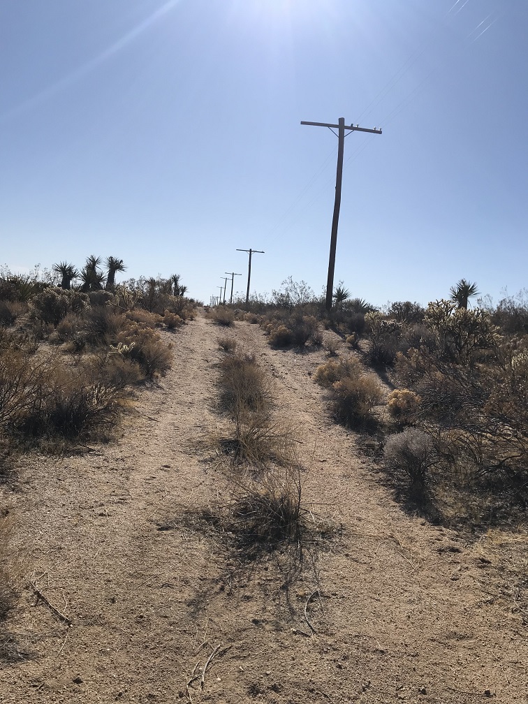 teleroad2-jpg.216212