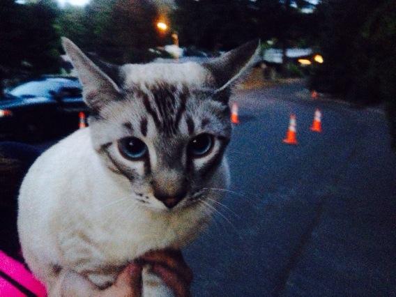 BupgGsECAAARZ47.jpg:large