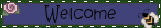 MLM_beewelcome.gif