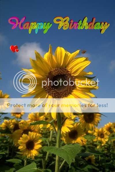happy_birthday_sunflower-2.jpg