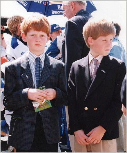 8669d037-d76f-4551-8c59-14b559e788fe-jpeg.193137