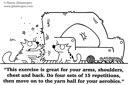 cat11.gif