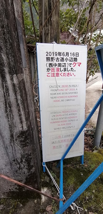 www.google.com