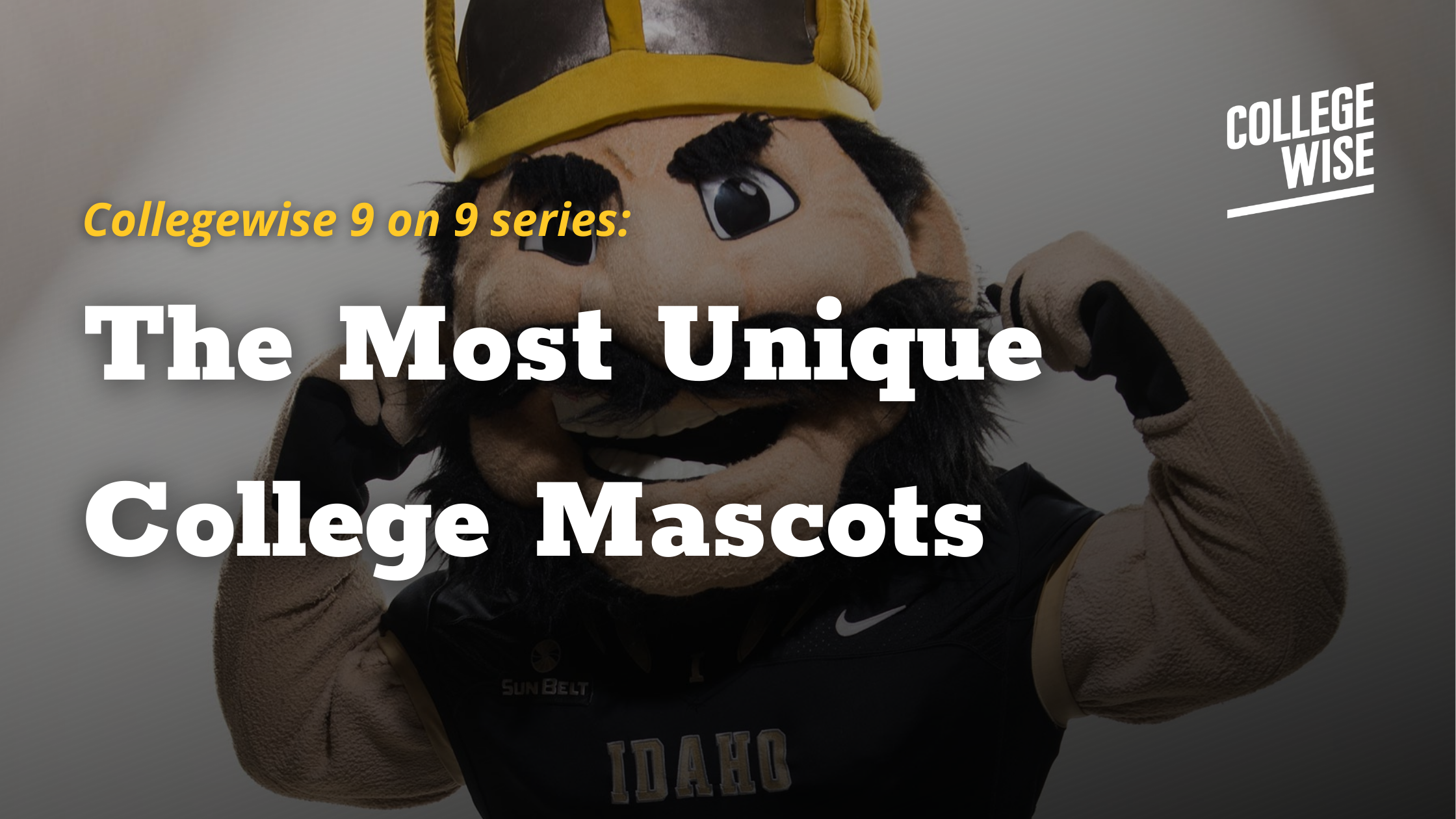 go.collegewise.com