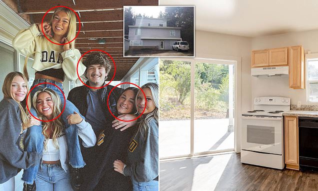 www-dailymail-co-uk.cdn.ampproject.org