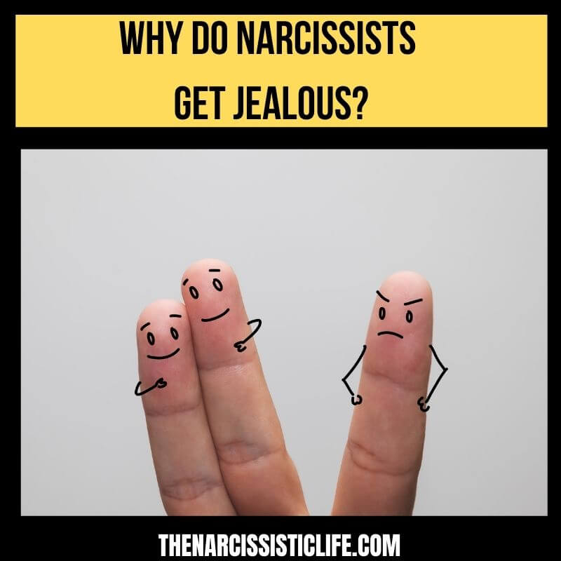 thenarcissisticlife.com