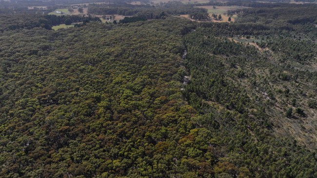 There have been calls to search mineshafts in the area. Picture: NCA NewsWire / Ian Wilson