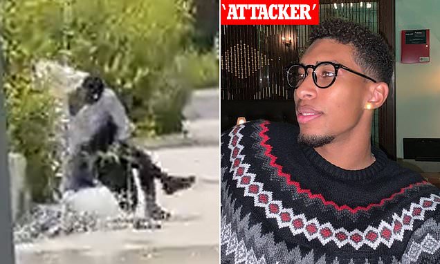 www.dailymail.co.uk