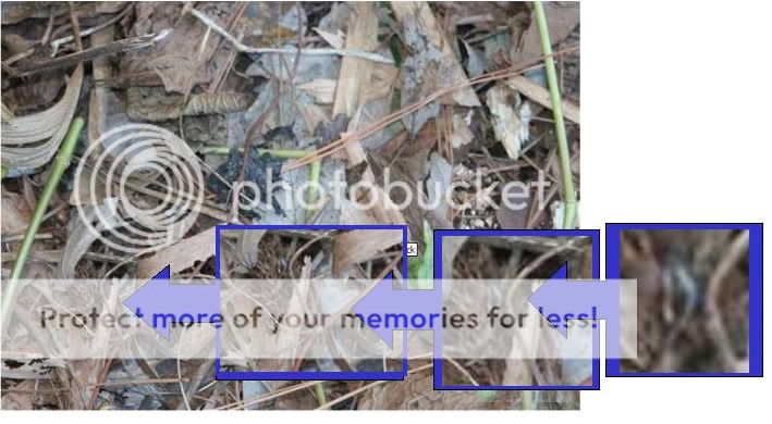Slide1-26.jpg
