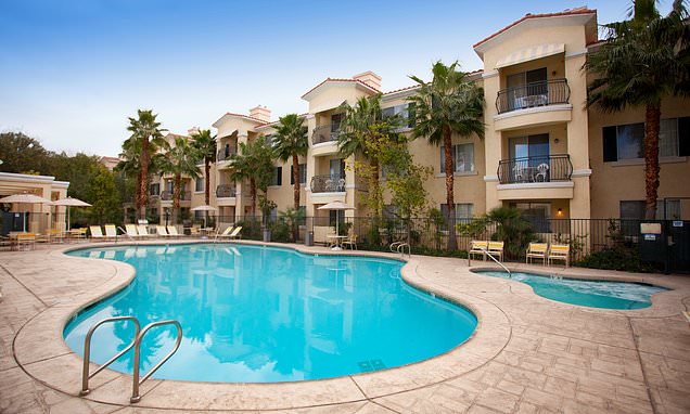 www-dailymail-co-uk.cdn.ampproject.org