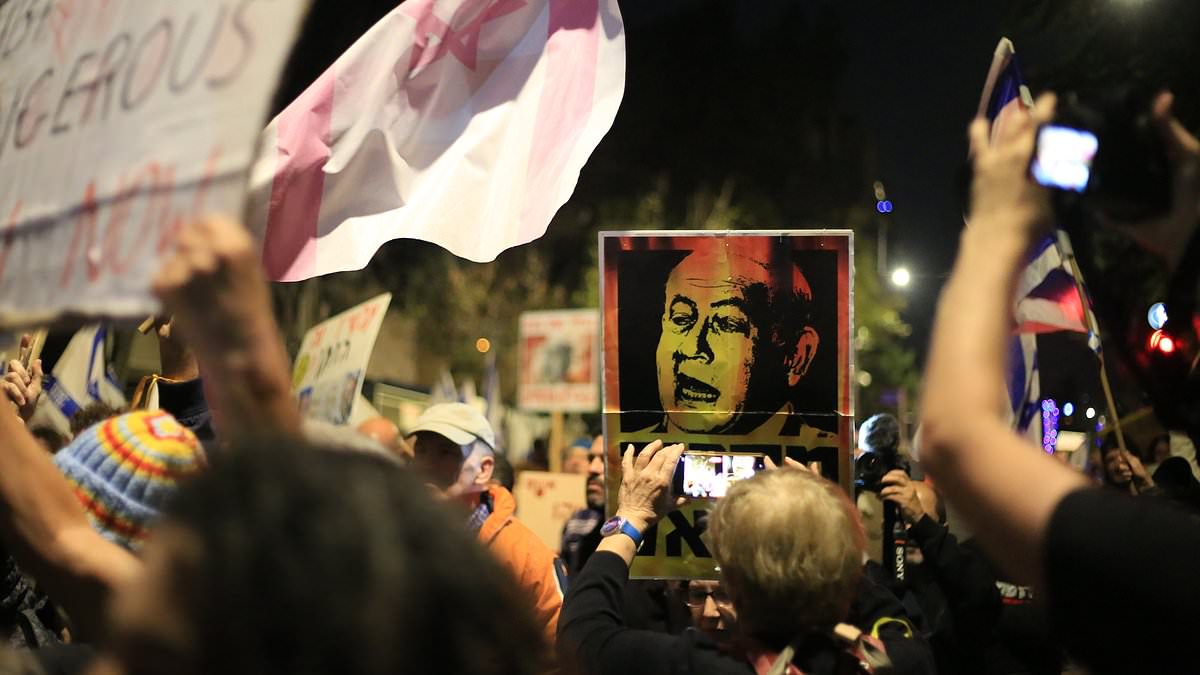 www-dailymail-co-uk.cdn.ampproject.org