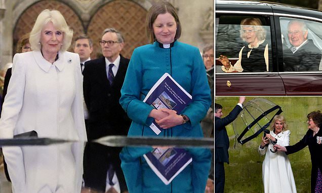 www.dailymail.co.uk
