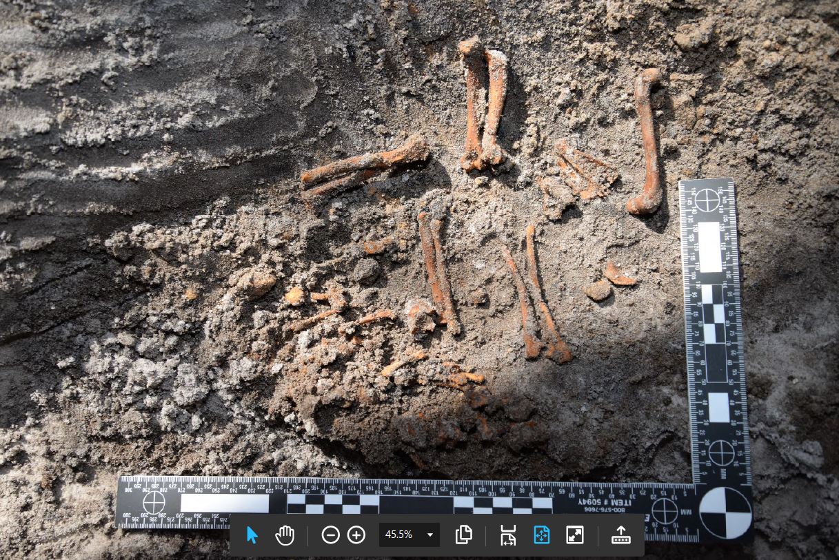 Dc8wbf8X4AAzeSs.jpg:large