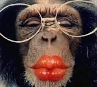 funny-monkey-in-glasses_1.jpeg
