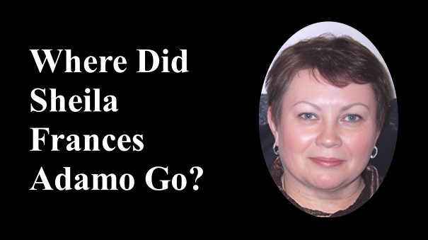 someonesawsomething.ca