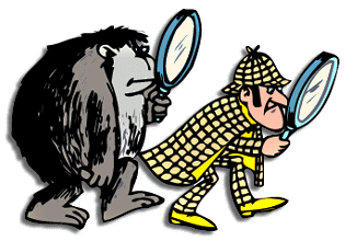 searching.gif