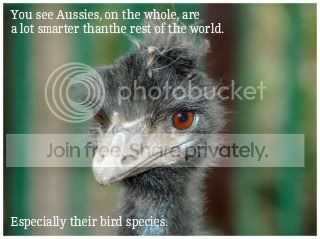 emu_7061-6.jpg