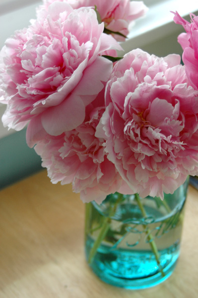 2007-06-02peonies.jpg
