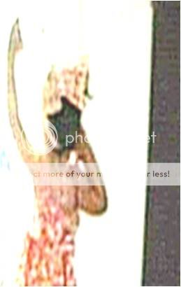 Cayleedoor.jpg