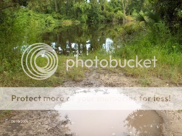 shellpond.jpg