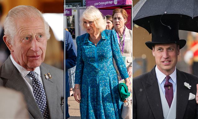 www.dailymail.co.uk
