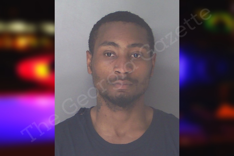 thegeorgiagazette.com