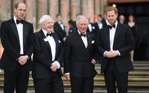 Royals-2.jpg