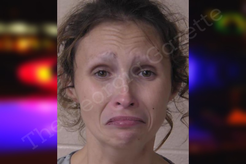 thegeorgiagazette.com