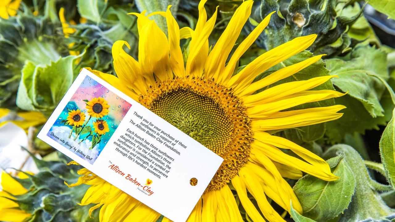 5c71feb7b2a0286aa9b0c23cfa83a7e4