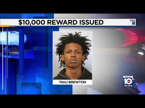www.local10.com