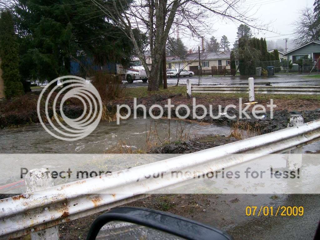 baummcleary4.jpg