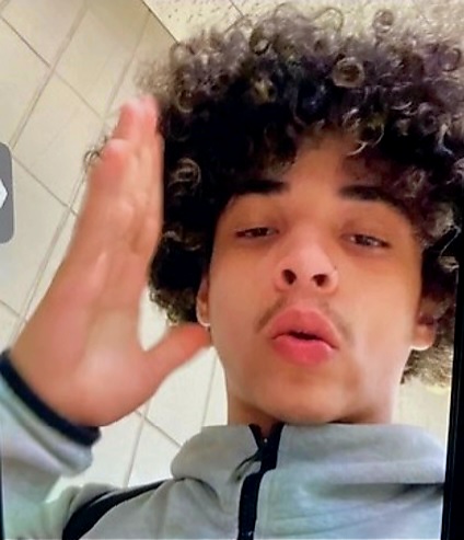 bronx.com