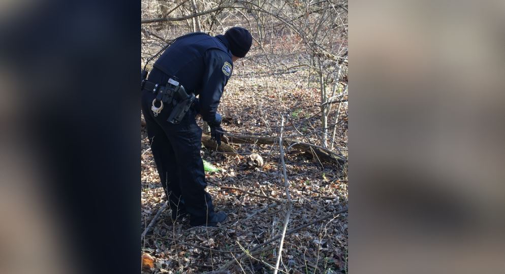 Police-inspect-human-skull.jpg