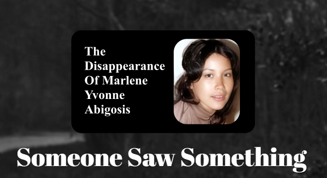 someonesawsomething.ca