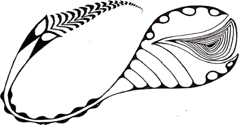 madnessnetworknews.com