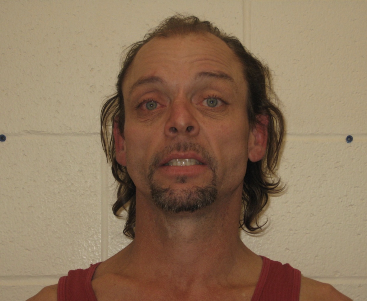 user2135-1548468830-media1