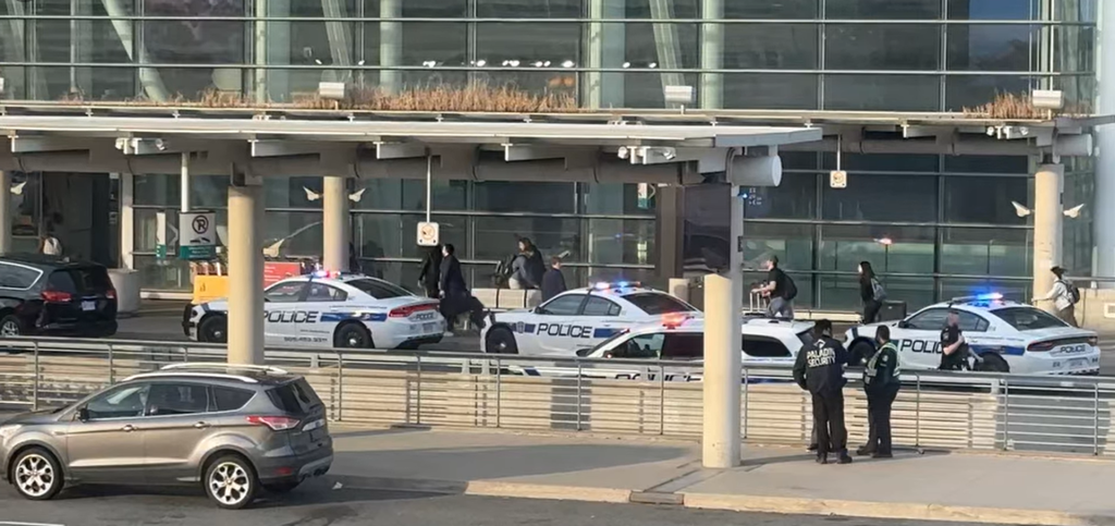 toronto.citynews.ca