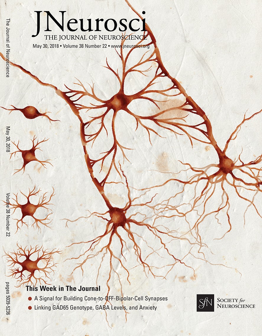 www.jneurosci.org