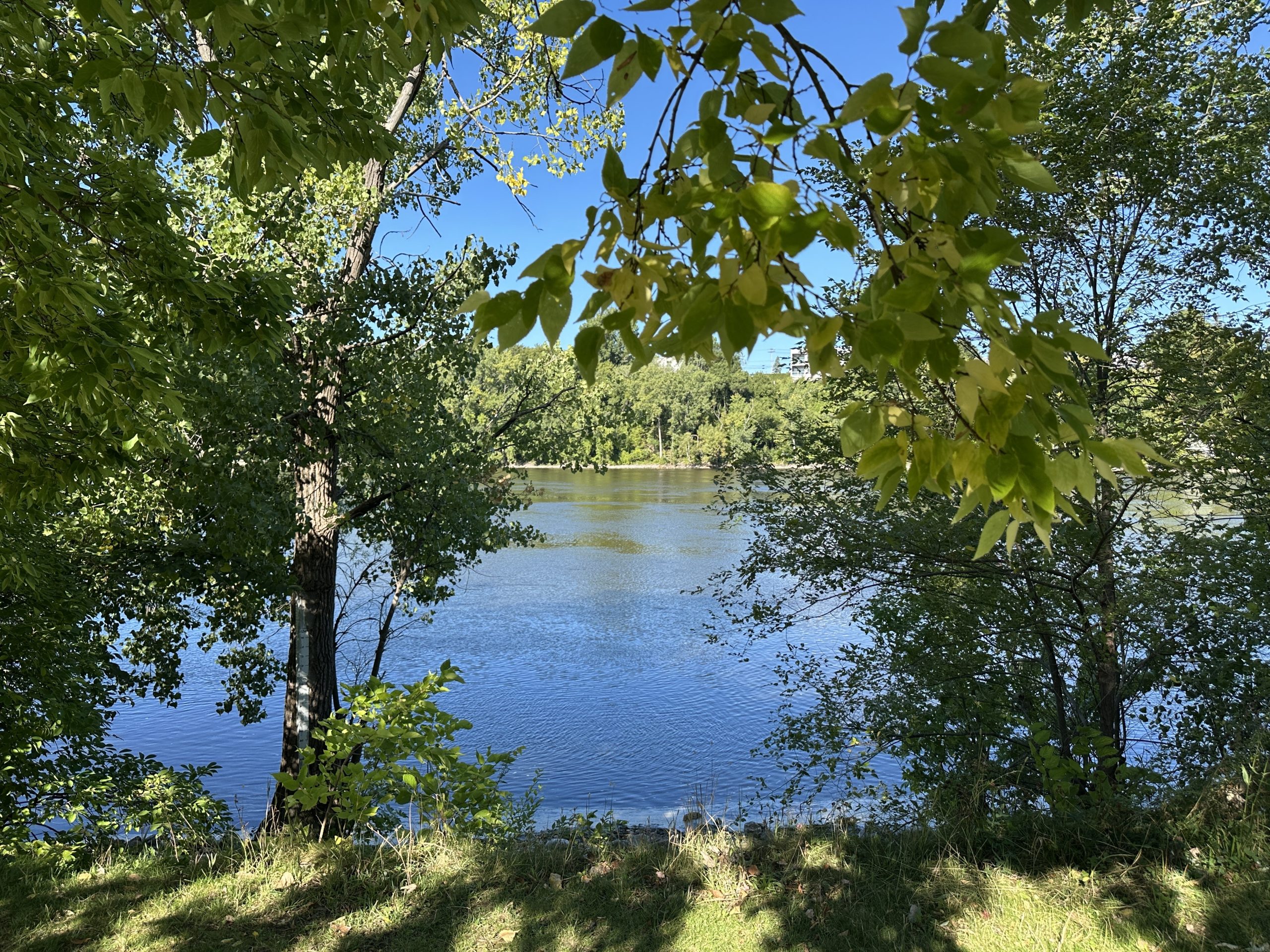 montreal.citynews.ca