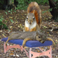 06e4f1219d65cc8be8c0db5c7e1af818.gif
