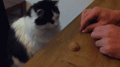 tumblr_m4atygpbuf1ru6tglo1_400.gif