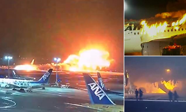 www.dailymail.co.uk