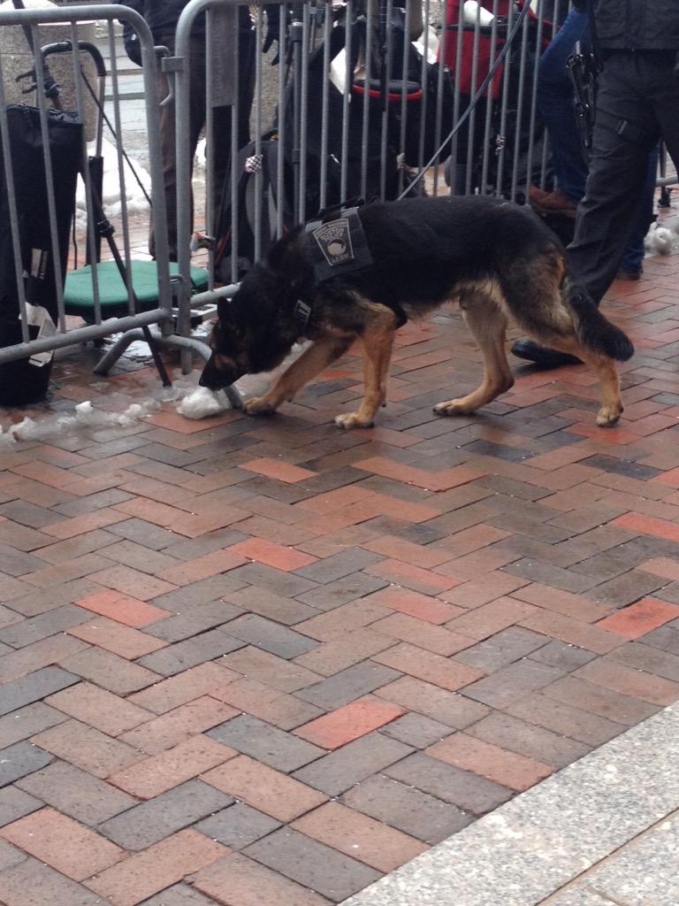 B_QjOGQUsAITx4v.jpg:large