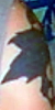 marks_daniel_tattoos.jpg