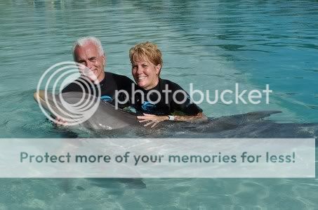 Dolphin.jpg